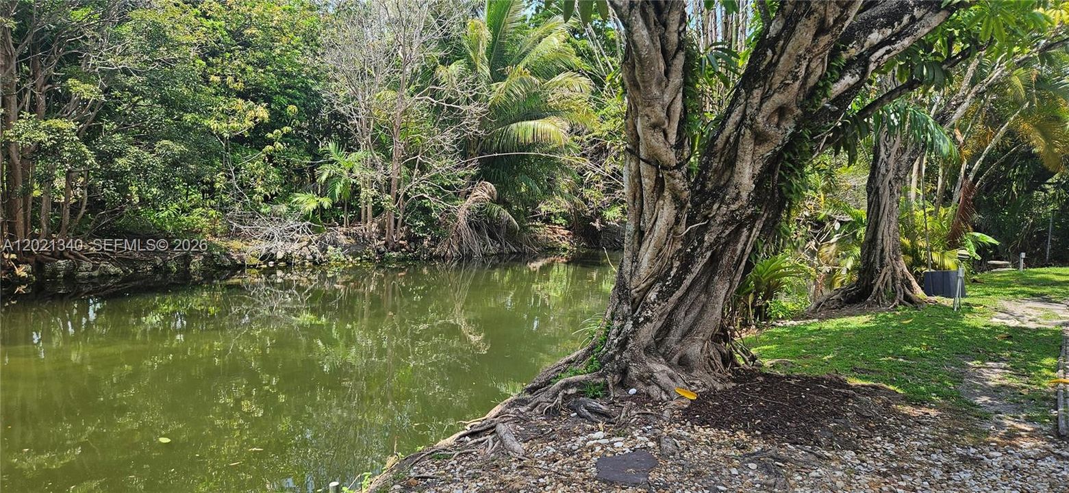 Views of the canal