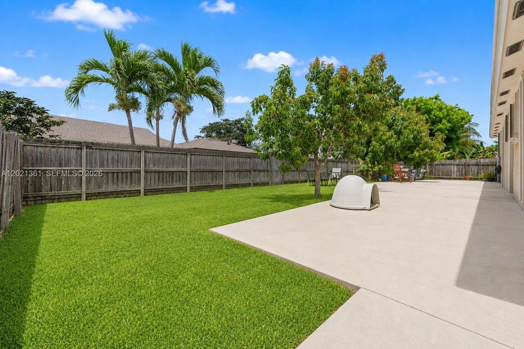 Yard in the patio