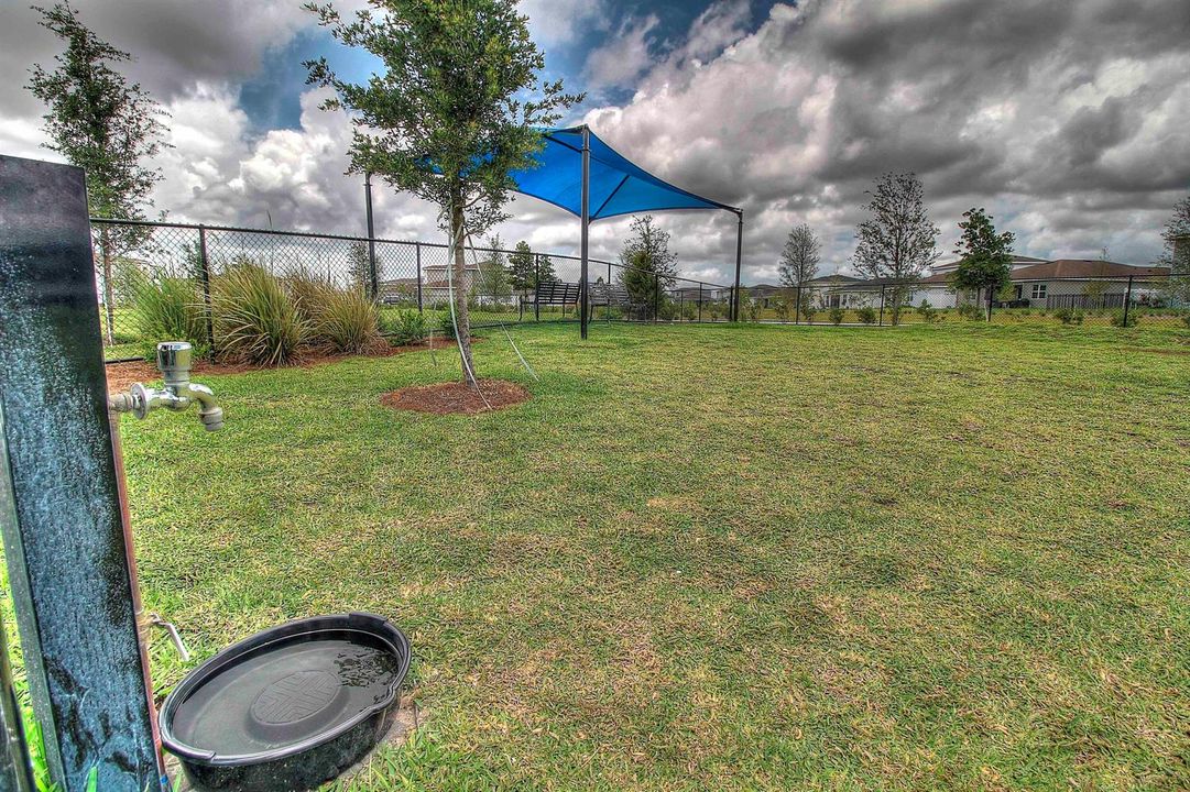 Dog Park