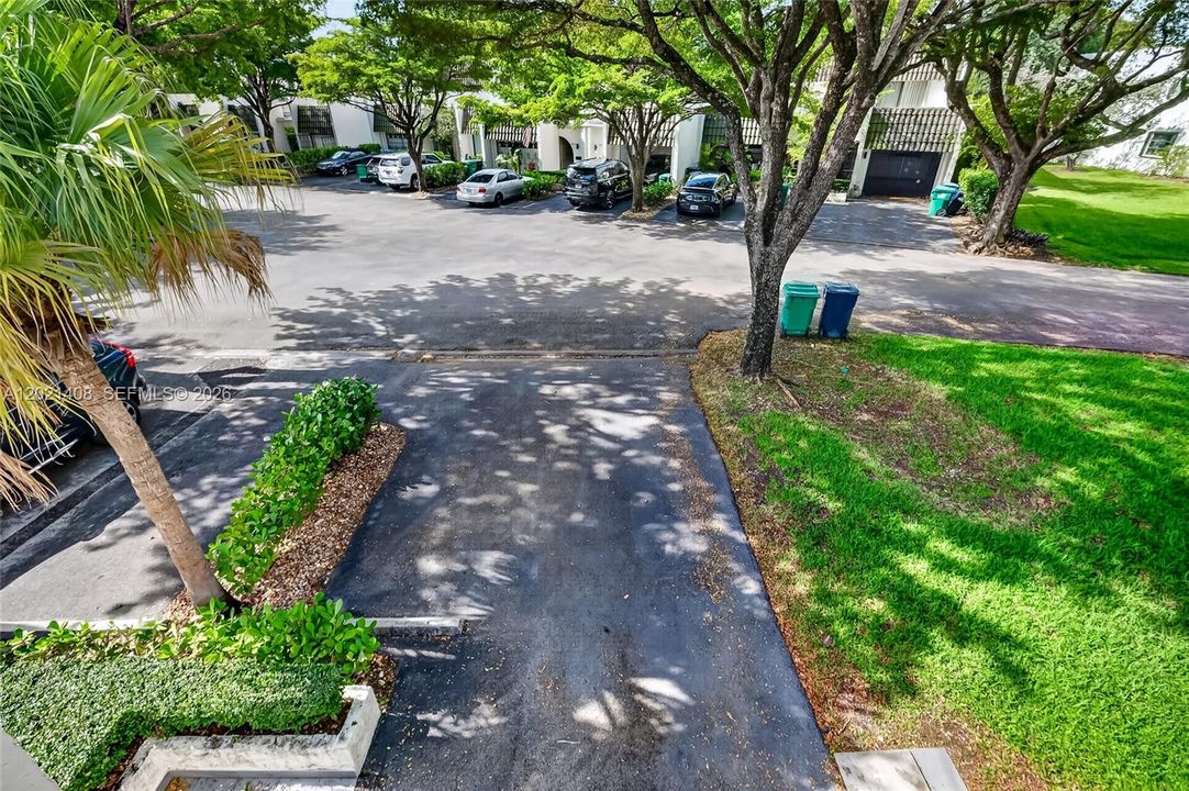 Front Drive way