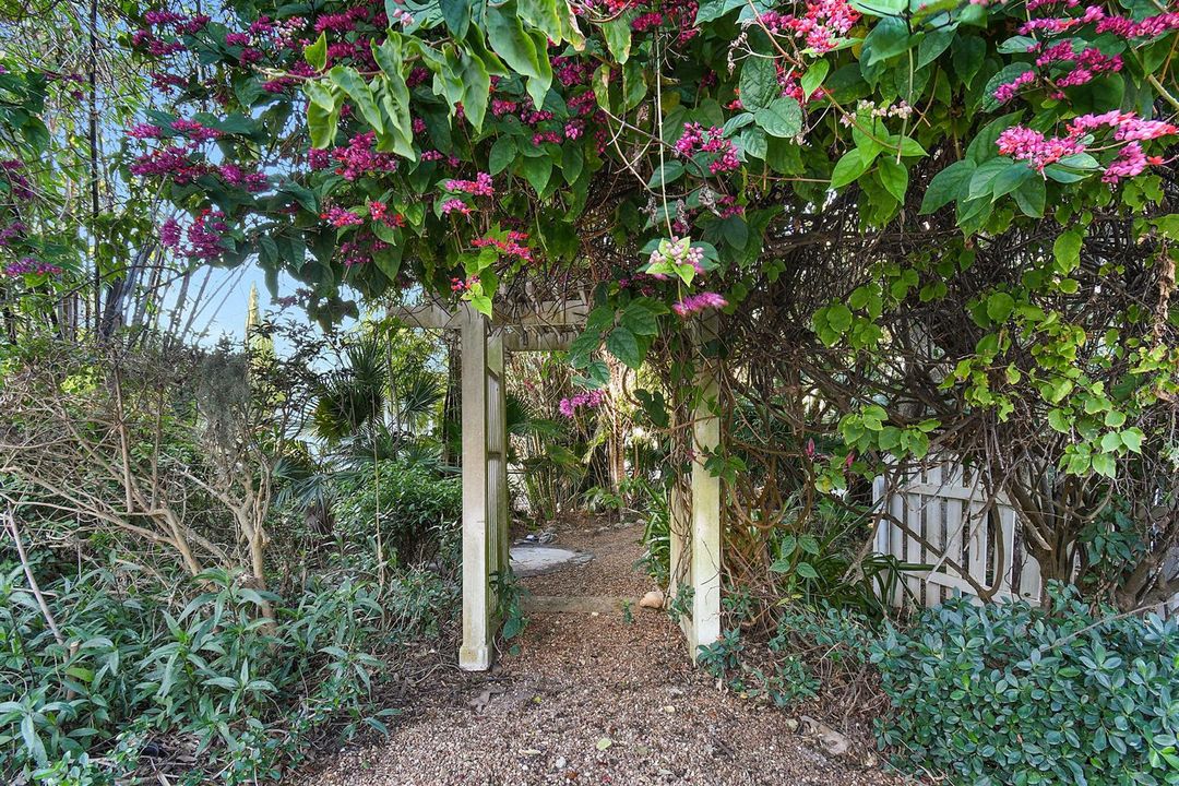 Arbor