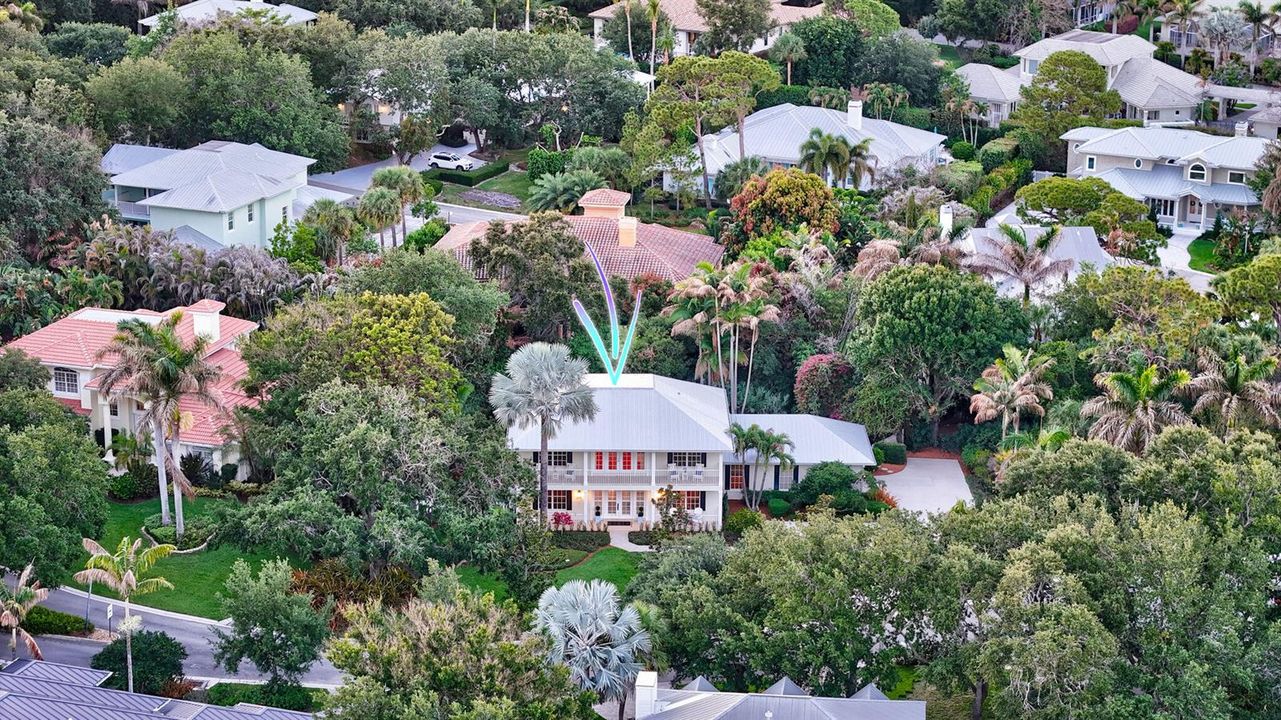 Aerial2