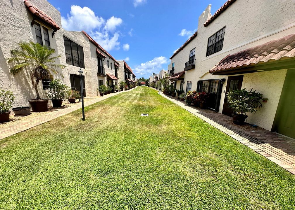Front Yard