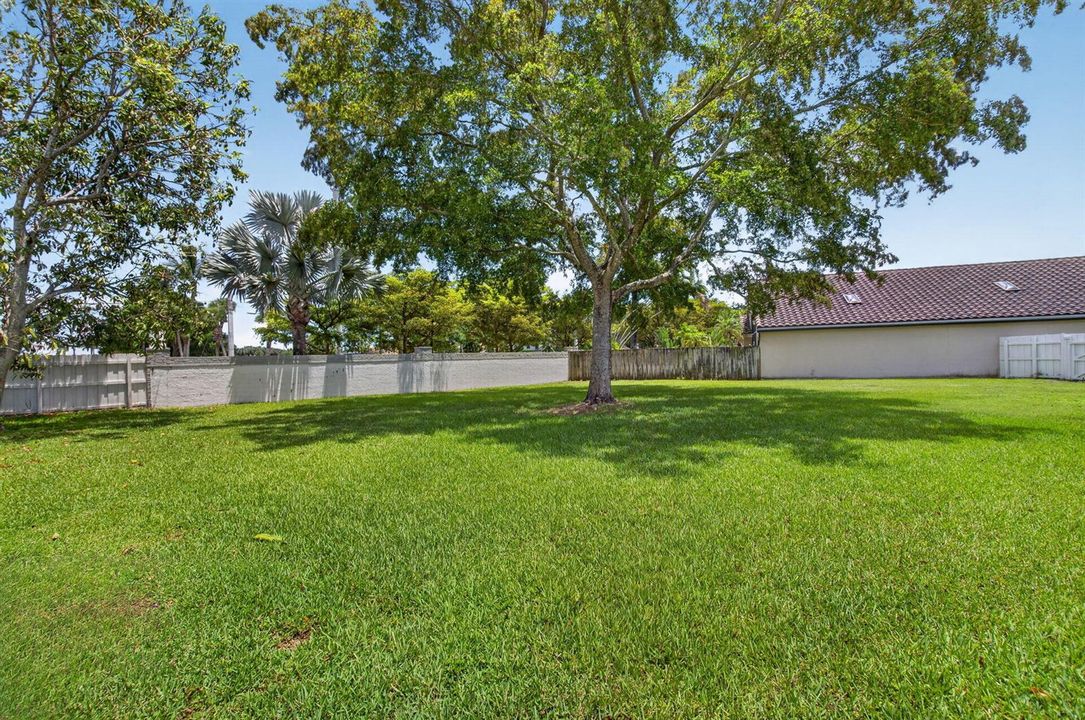 53-web-or-mls-53-print-DSC_6699