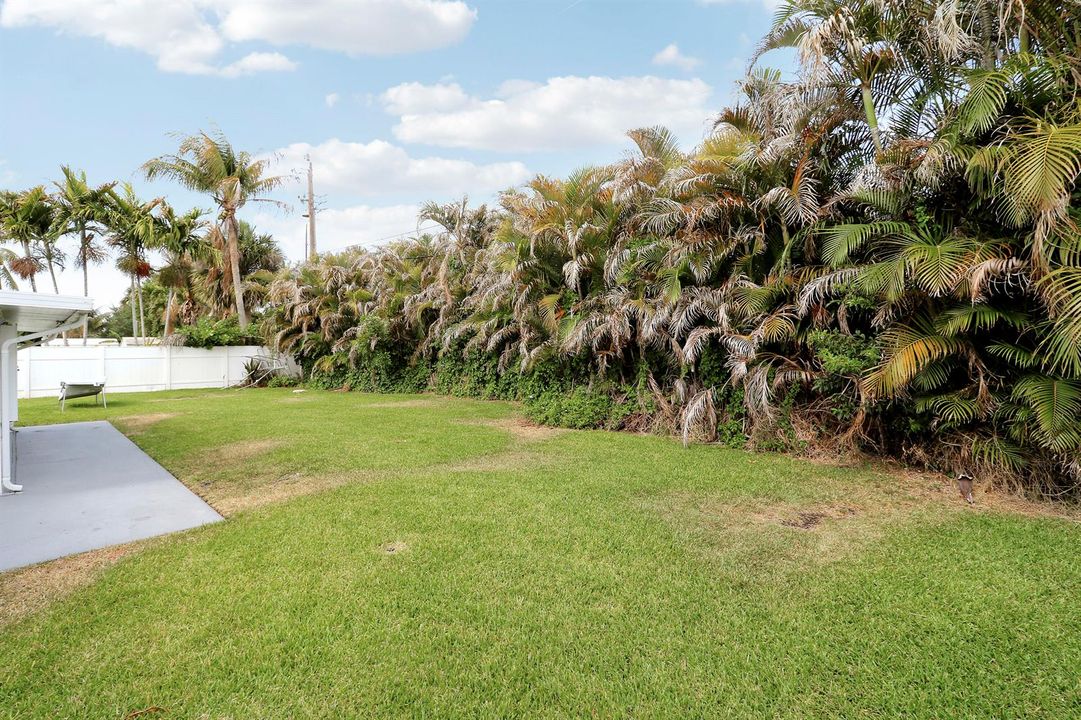 Yard