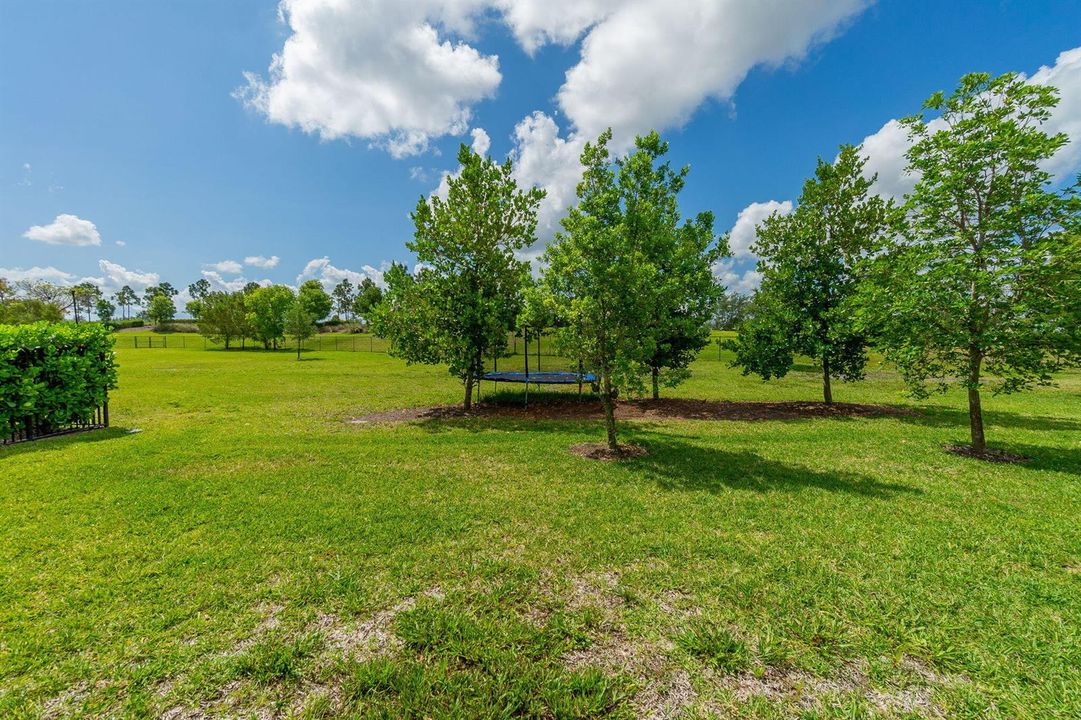 35-web-or-mls-DSC03953