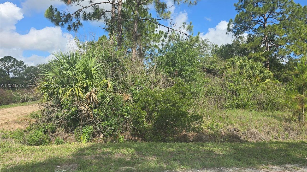 En Venta: $47,000 (1.25 acres)