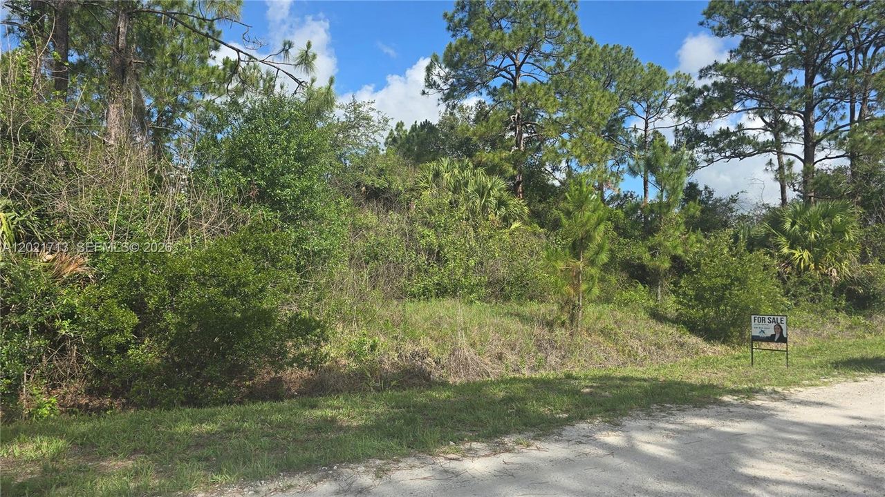 En Venta: $47,000 (1.25 acres)