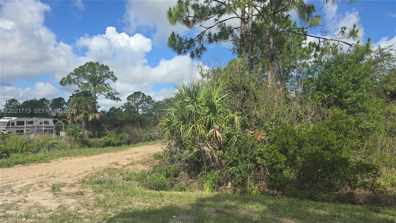 En Venta: $47,000 (1.25 acres)