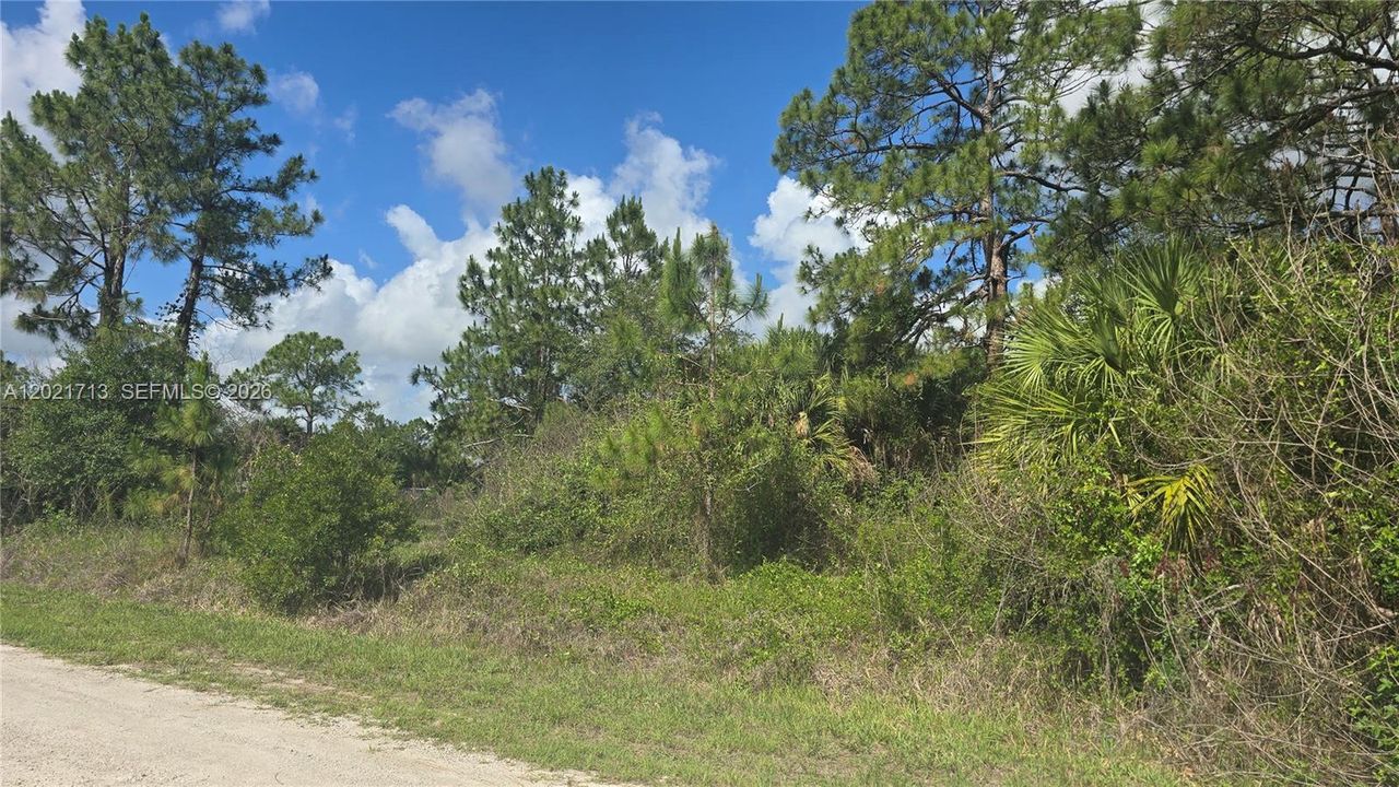 En Venta: $47,000 (1.25 acres)