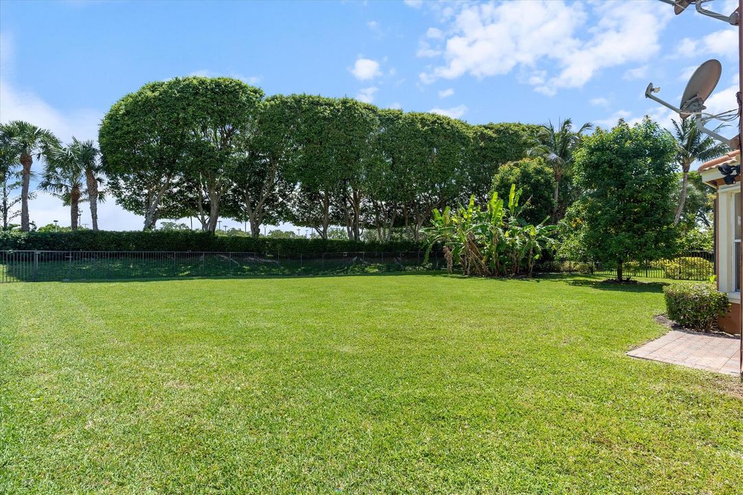 Expansive back yard