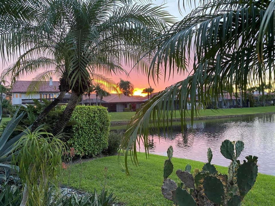 View from patio