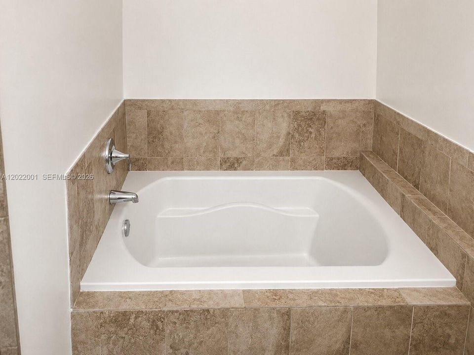 Main Bathroom Tub