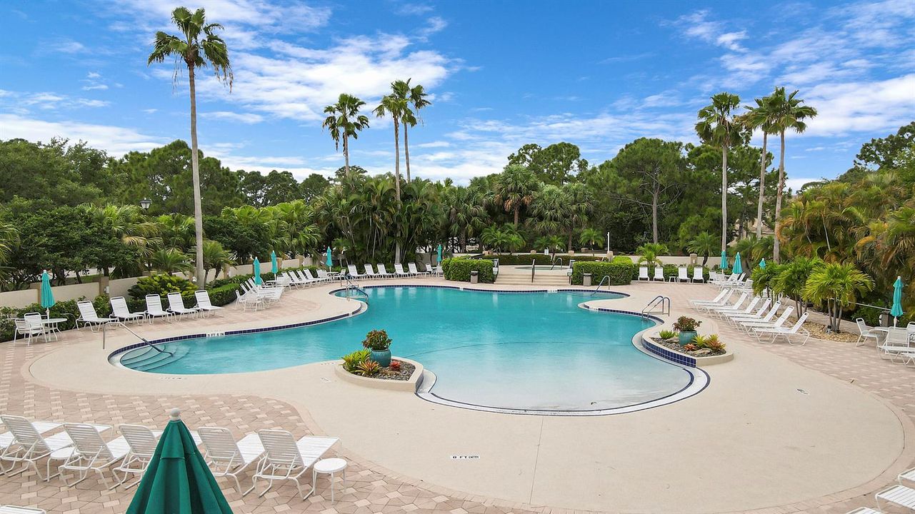 Pool & Spa