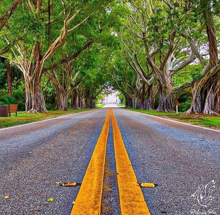 Bridge Road