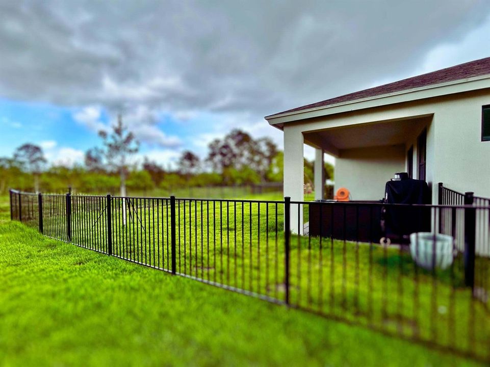 Fenced backyard 1
