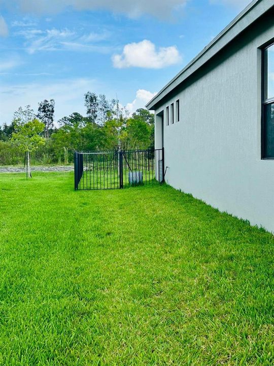 fenced backyard.3