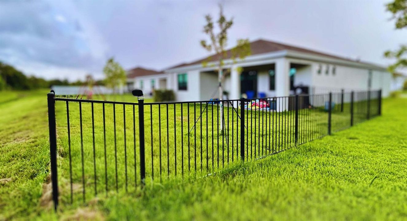 fenced backyard 3