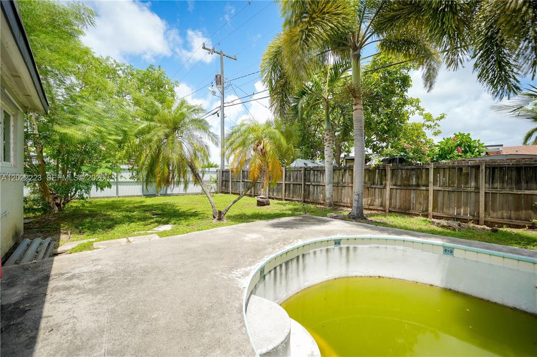 pool needs clean out and maintenance