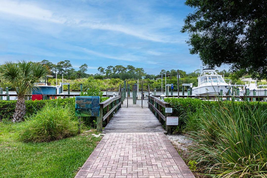 Palm Cove Marina 2024-2