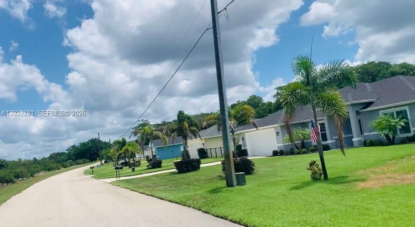 Wonderful Established Street