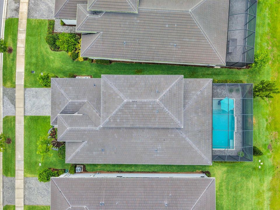 Drone View