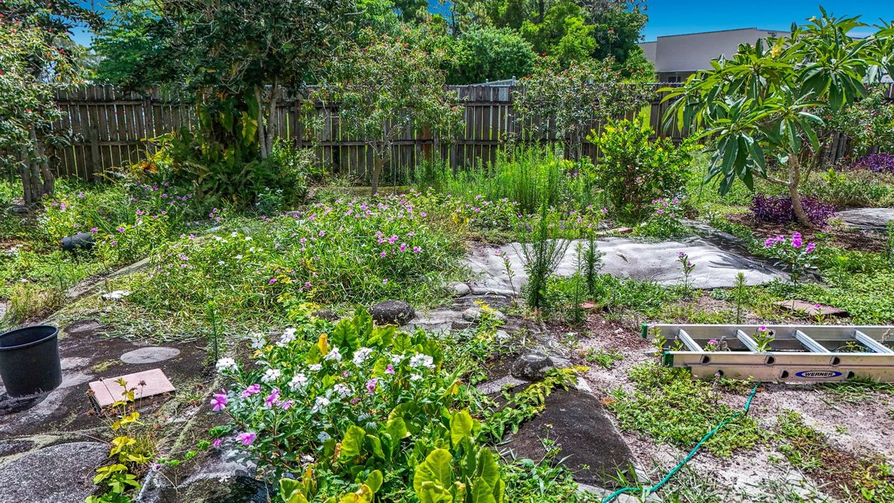 2066 Tarragon Road-61