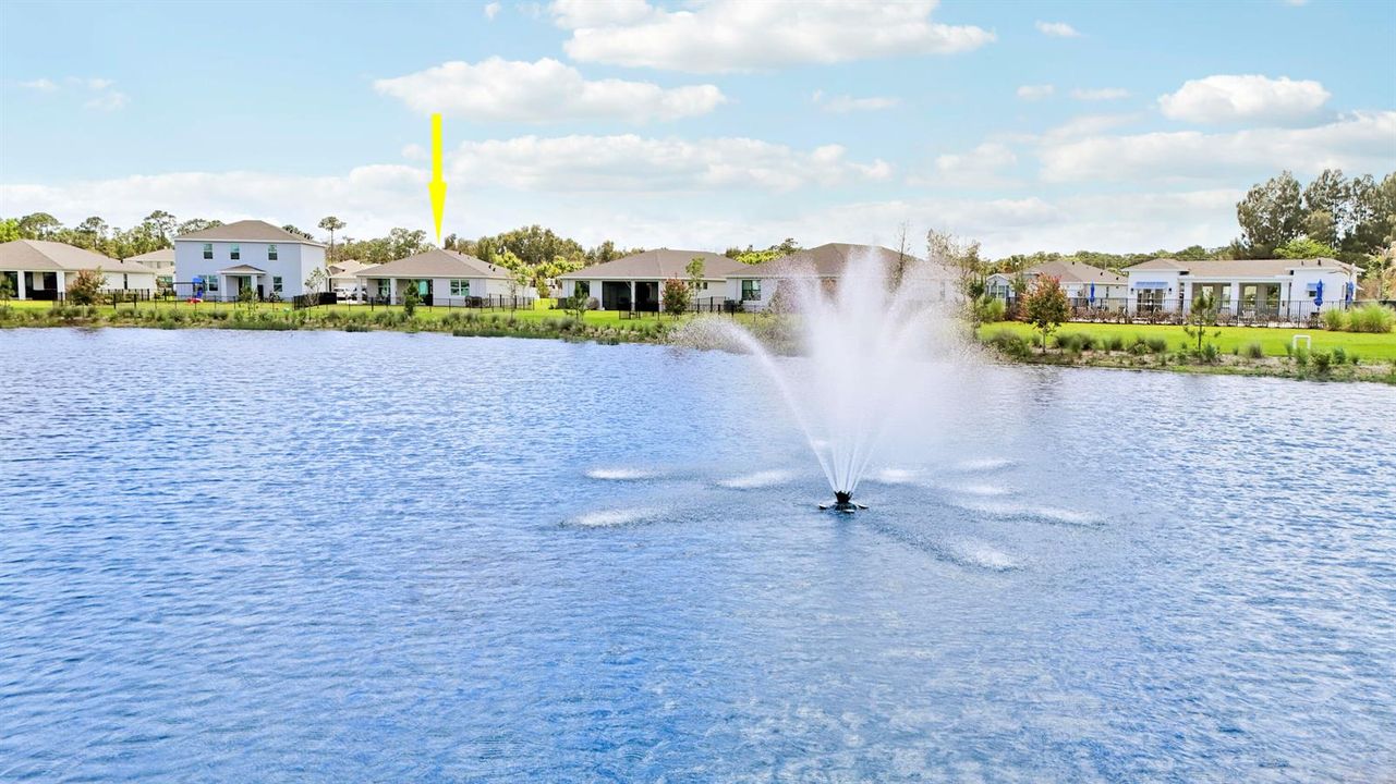 Fountain View