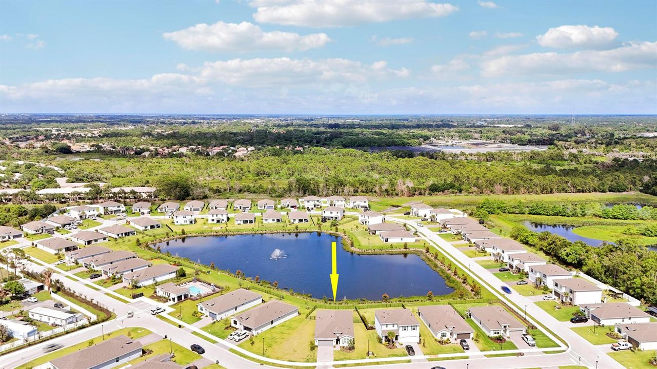 Aerials-54 copy