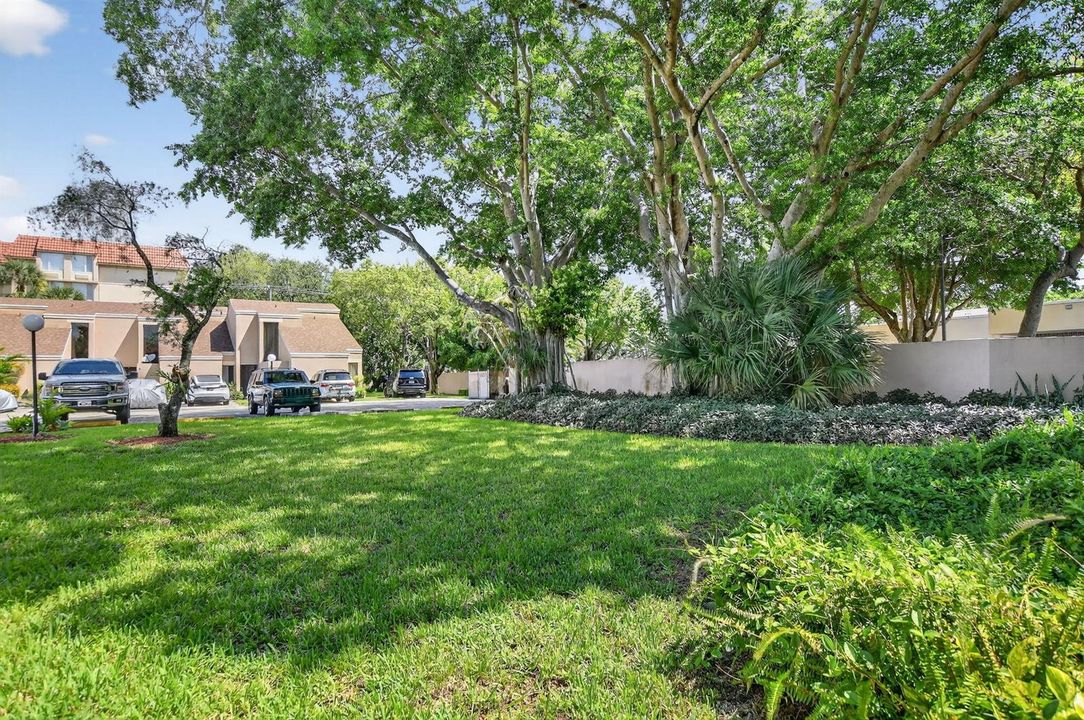 Back Yard Area