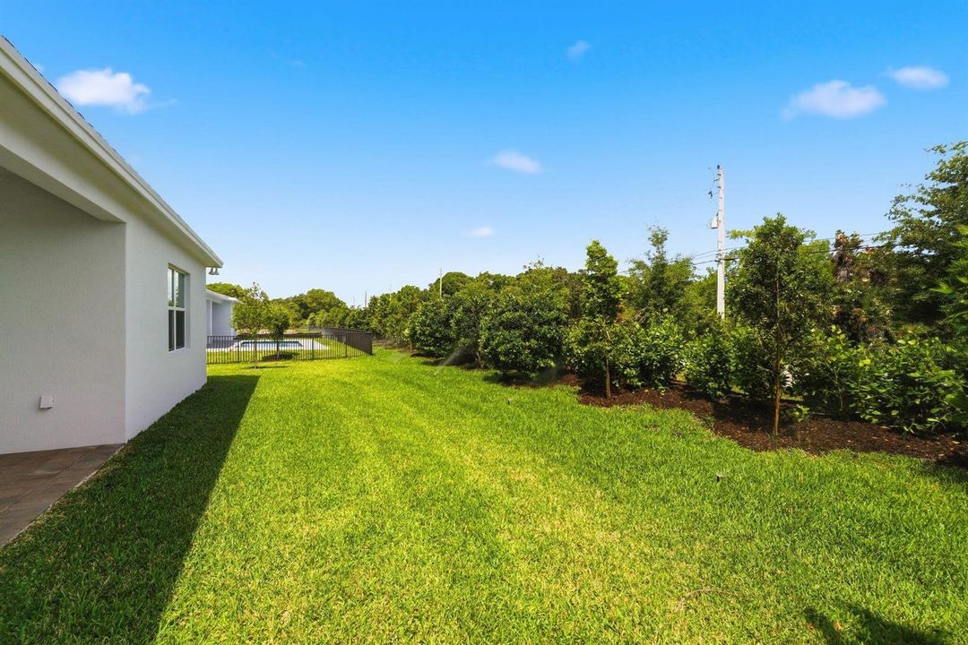 Backyard Retreat