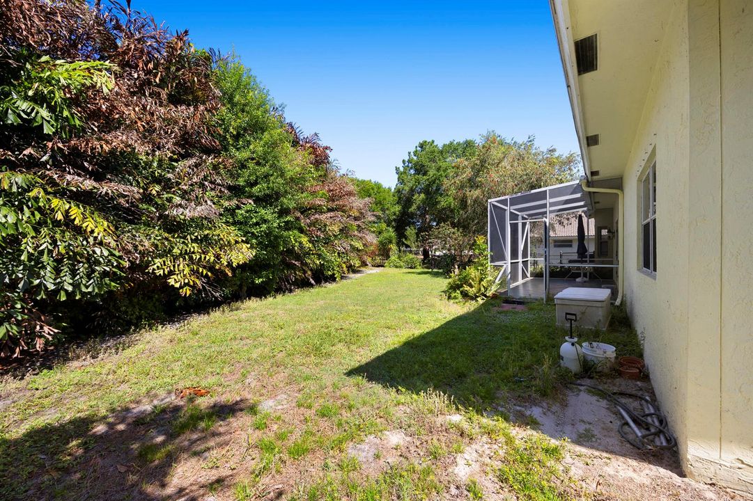 Spacious Backyard