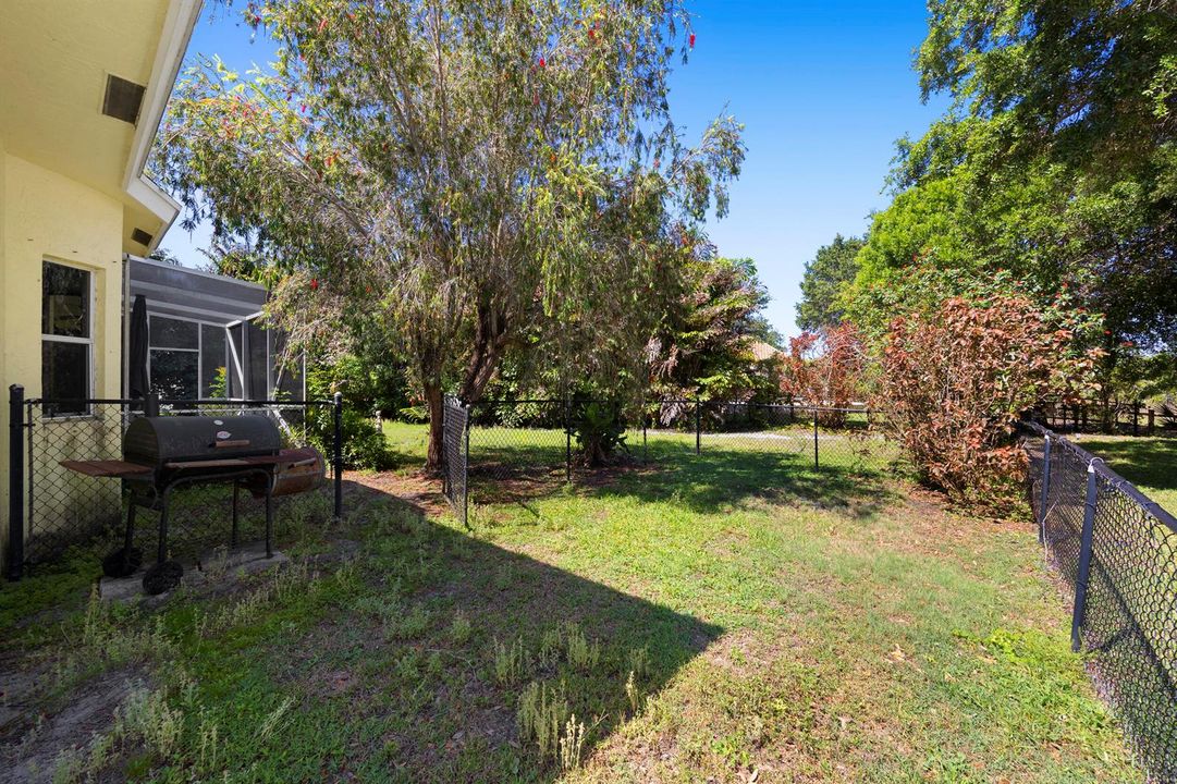 Spacious Backyard