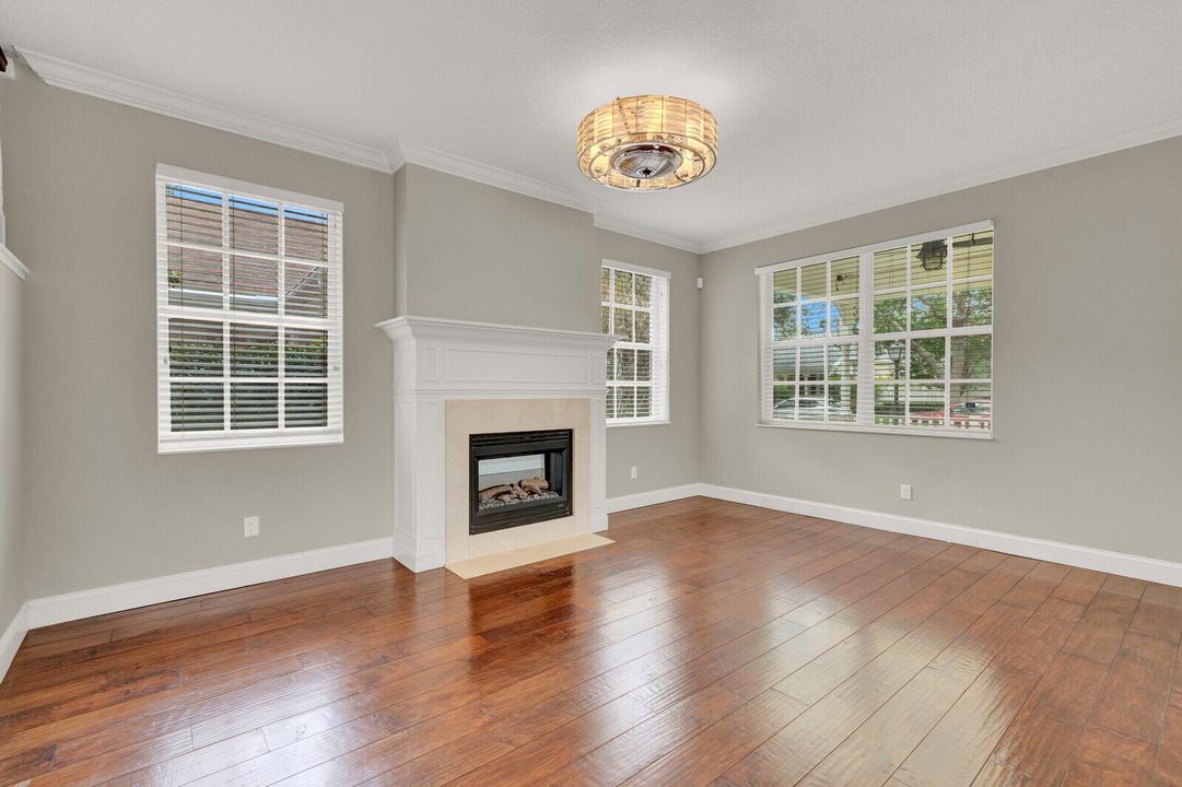 Living fireplace 221