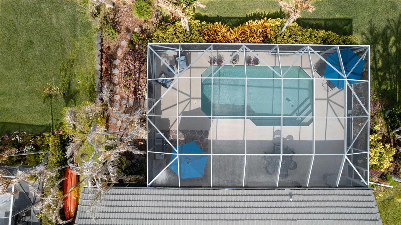 Large pool