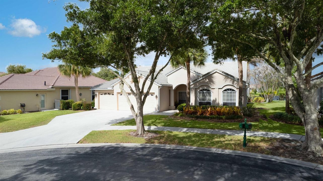 Mature landscaping