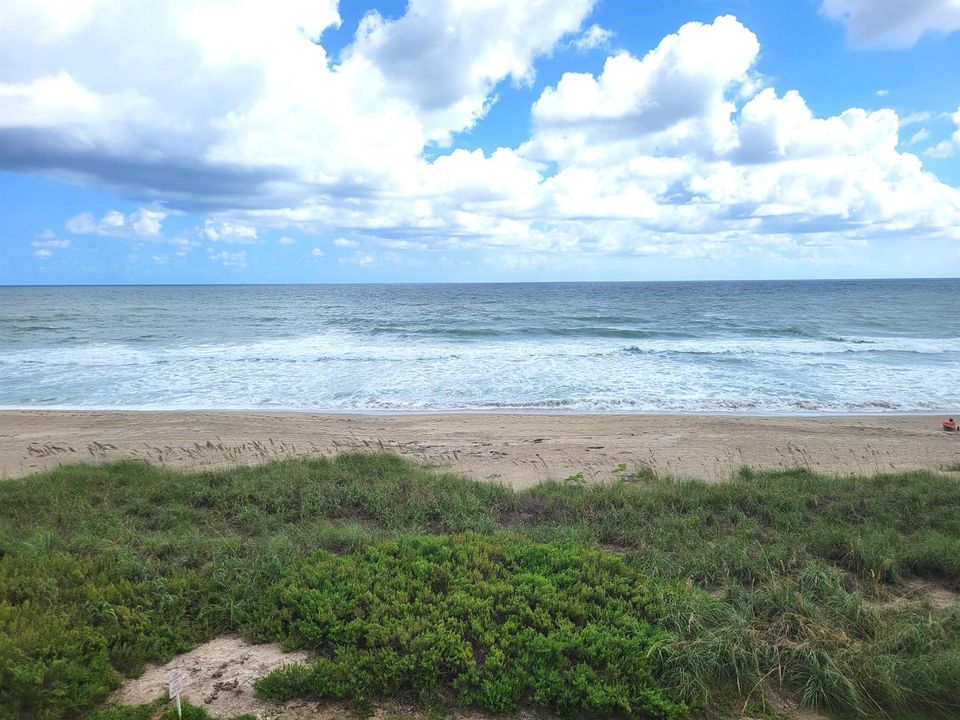 View Looking East