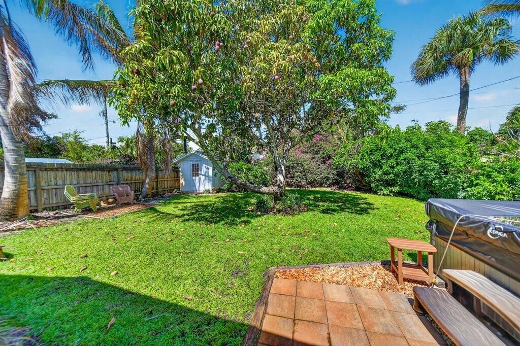 backyard4.jpg-SMALL