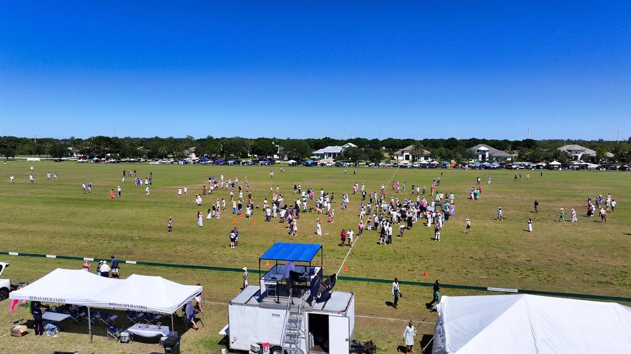 Polo Match in Season