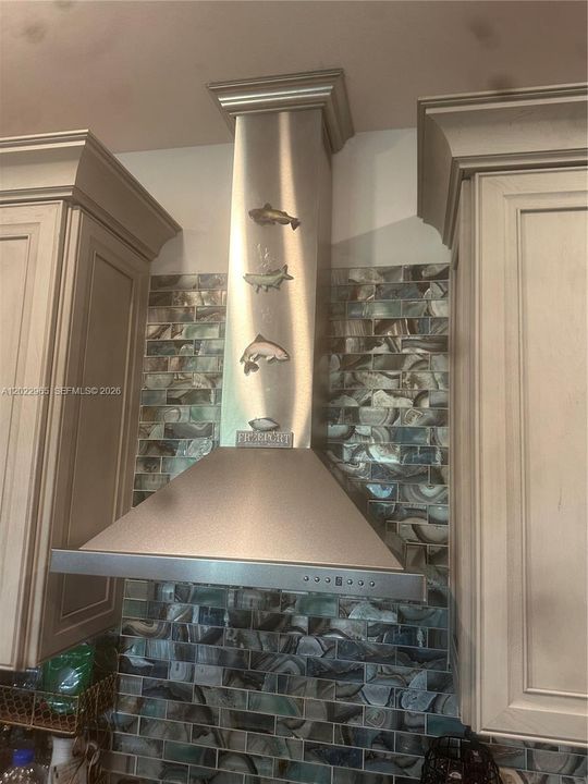 Kitchen's Electric Range Hood