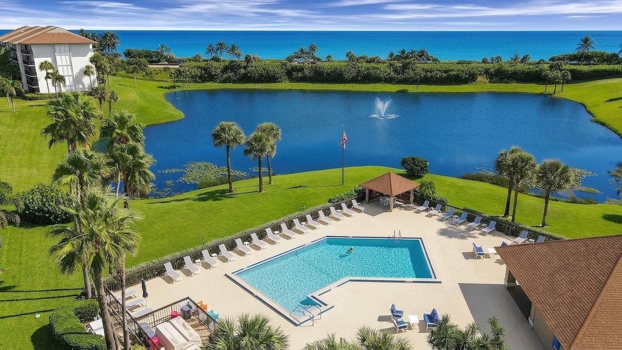 Aerial of Pool, Lake, Ocean