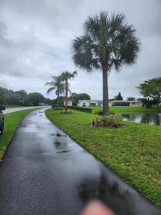 1000034631