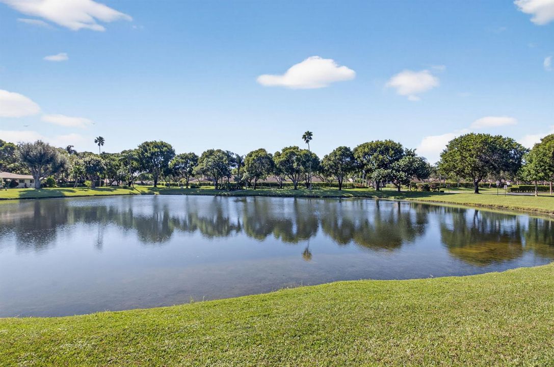 Beautiful lake view