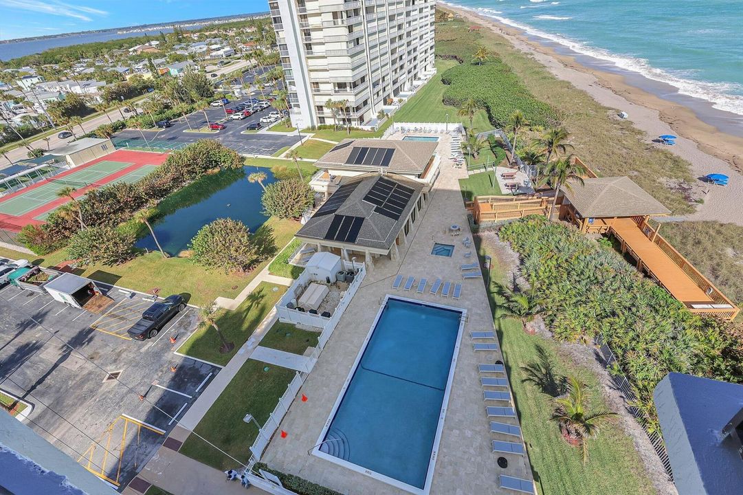 52-web-or-mls-5P1A2451