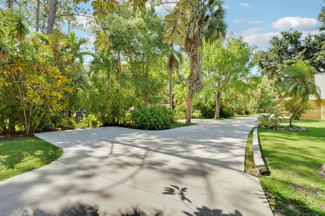 Driveway