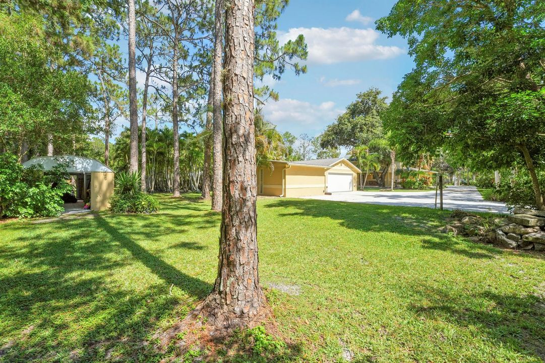 Shed / Guest House & Garage