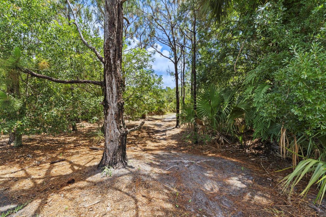 41_stuart + river marina - preserve trai