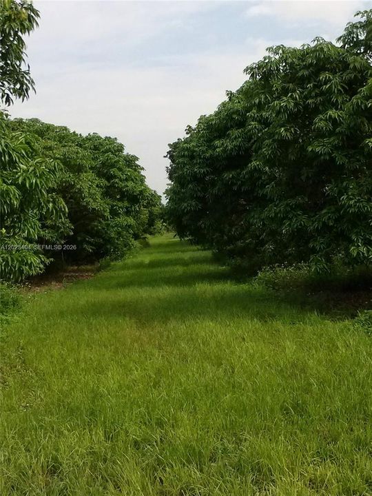 For Sale: $1,950,000 (5.00 acres)