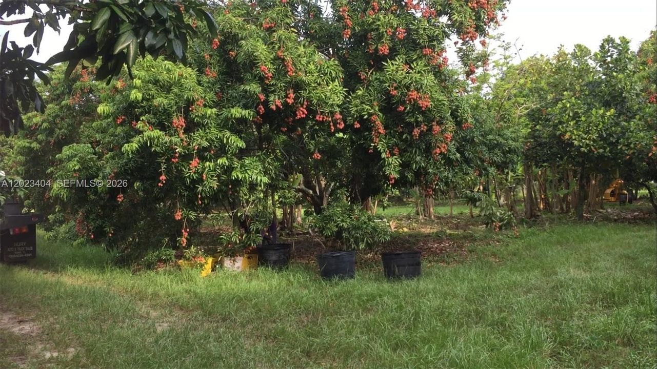 For Sale: $1,950,000 (5.00 acres)