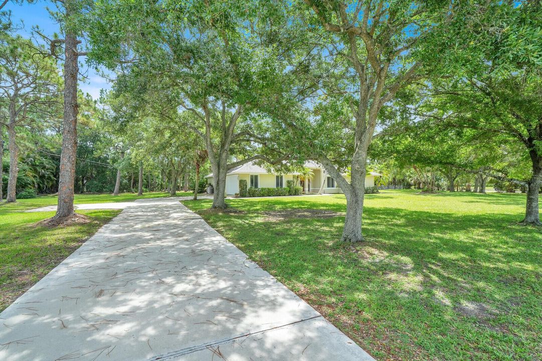Driveway